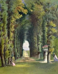 Vista nos jardins de Teddesley, de &39;jardins da Inglaterra&39;, publicado em 1857